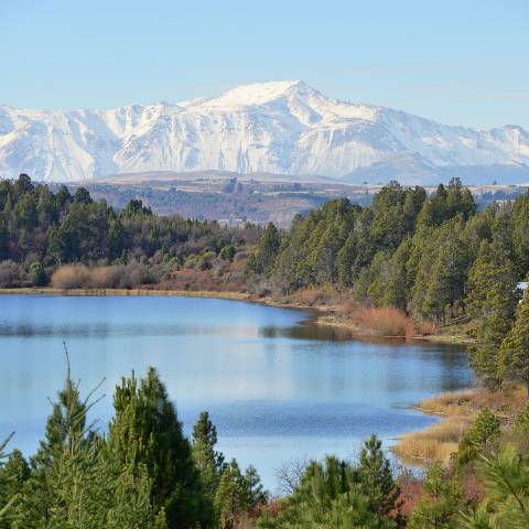 Laguna Brecham