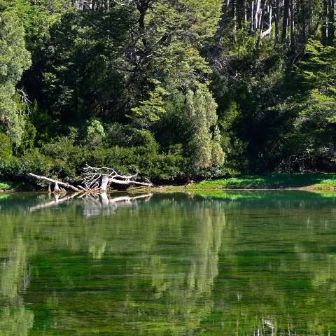 Rio Arrayanes