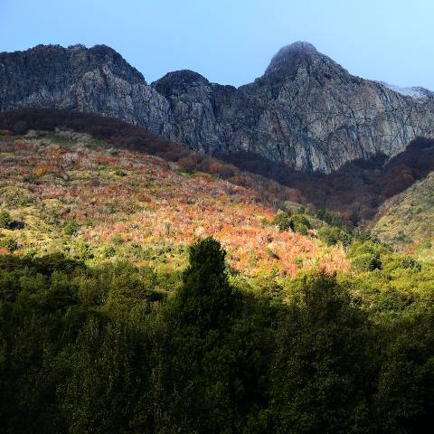 Cerro Riscoso
