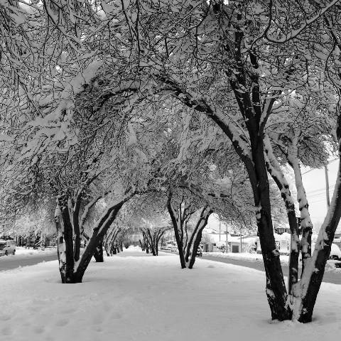 Nieve en Esquel