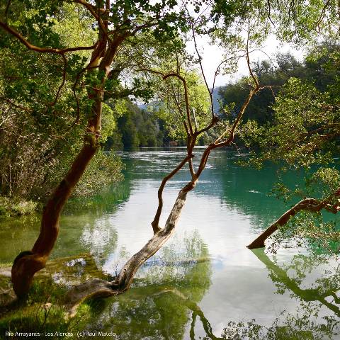 Rio Arrayanes